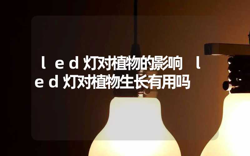 led灯对植物的影响 led灯对植物生长有用吗